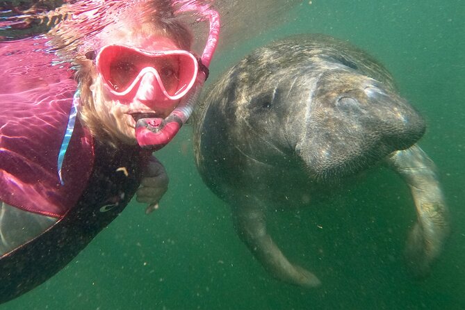 Small Group Manatee Snorkel Tour with In-Water Guide and Photographer - From Salty Siren Check-In To The Water: How the 3 Hours Flow