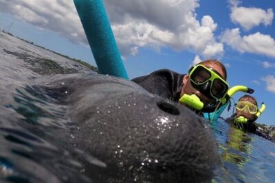 Small Group Manatee Snorkel Tour with In-Water Guide and Photographer - Wetsuits, Heated Pontoon Comfort, And Included Gear