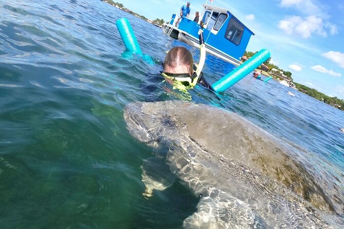 Small Group Manatee Snorkel Tour with In-Water Guide and Photographer - What To Expect In The Water: You Might Get Close, But Not Every Day