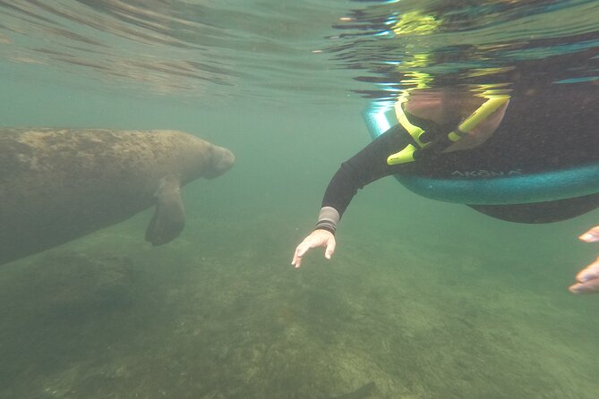 Small Group Manatee Snorkel Tour with In-Water Guide and Photographer - Price And Value: Why $89.99 Can Make Sense Here