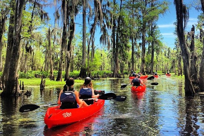 Small-Group Manchac Swamp Kayak Tour - Key Points Before You Go