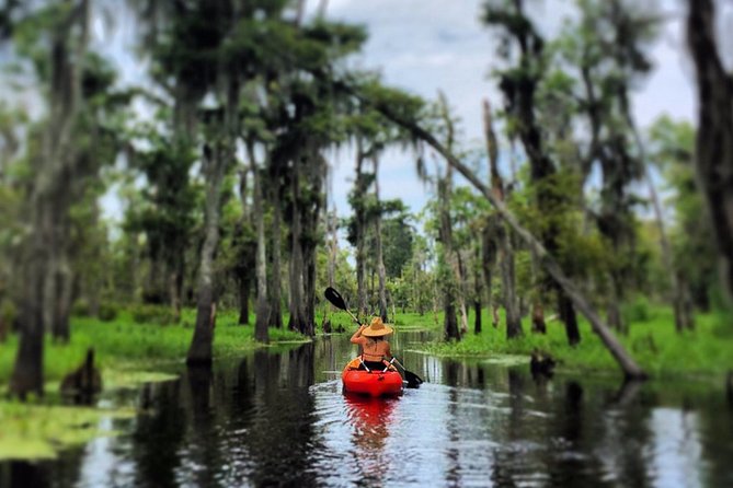 Small-Group Manchac Swamp Kayak Tour - Tandem Kayaks on Cypress-Lined Water: How the Paddling Works