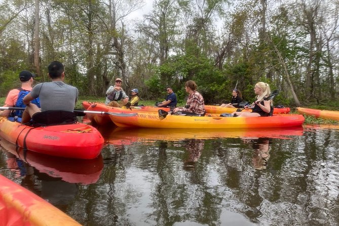 Small-Group Manchac Swamp Kayak Tour - Wildlife Spotting: Your Best Tactics for Alligators and Birds