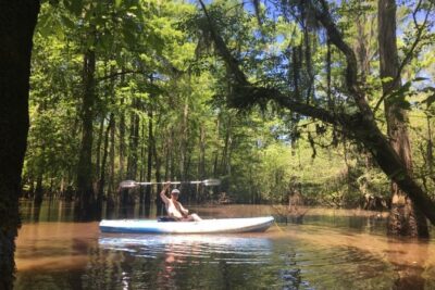 Small-Group Manchac Swamp Kayak Tour - Manchac and Maurepas Swamps: What You’re Actually Seeing