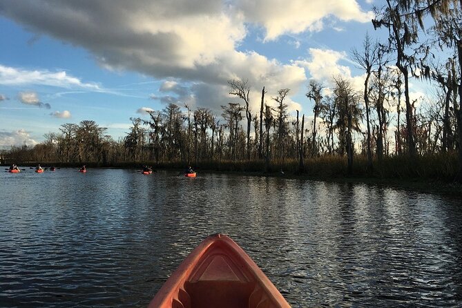 Small-Group Manchac Swamp Kayak Tour - The Guide Makes or Breaks It: What to Look for in Their Teaching