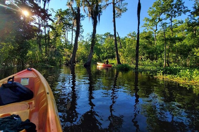 Small-Group Manchac Swamp Kayak Tour - Weather and Comfort: When Wind and Rain Change Everything