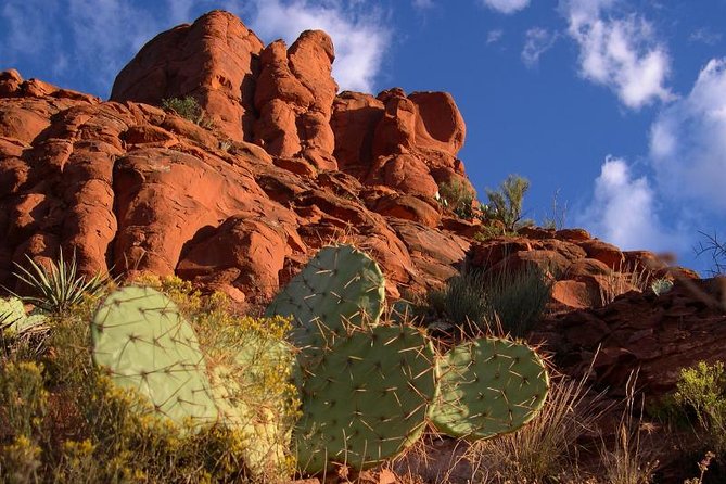 Small Group or Private Sedona and Native American Ruins Day Tour - Van Comfort and Practical Stuff You’ll Feel During the Day