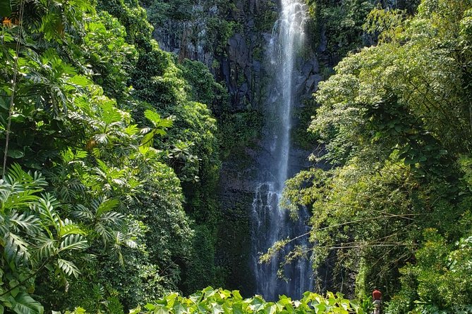 Small-Group Road to Hana Adventure Tour with Pickup & Lunch - Key things you’ll notice on this Road to Hana day