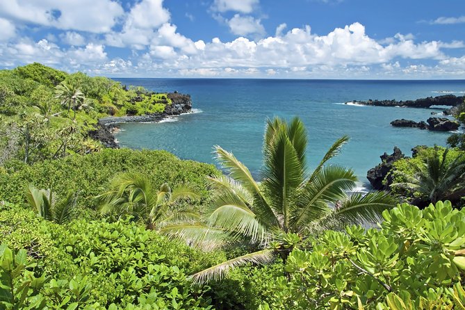 Small-Group Road to Hana Adventure Tour with Pickup & Lunch - Pickup timing and how the day starts early (and ends close to your hotel)