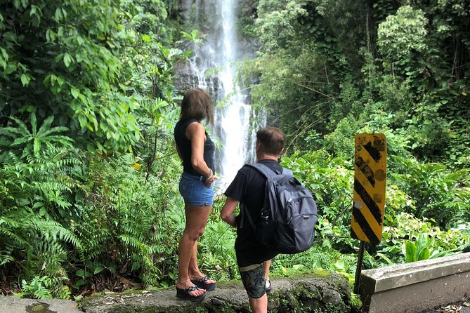 Small-Group Road to Hana Adventure Tour with Pickup & Lunch - Stop-by-stop: bamboo forest to black sand and blowholes