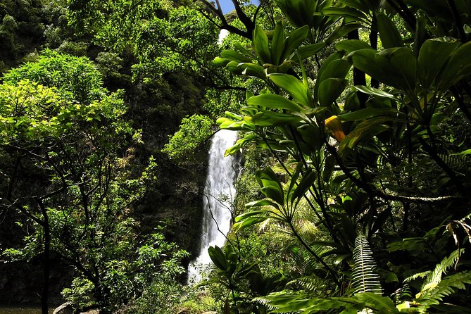 Small-Group Road to Hana Luxury Tour - Ultimate vs Picnic: How the Meal Upgrade Changes Your Day