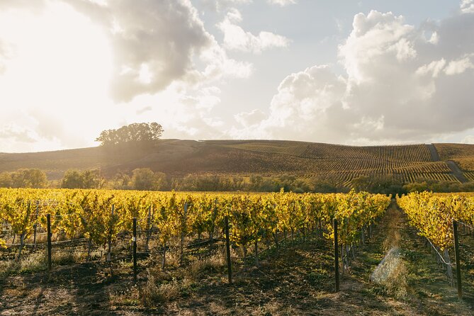 Small Group: Ultimate Napa & Sonoma Wine Tour from San Francisco - Golden Gate Bridge photo stop: fast, worth it