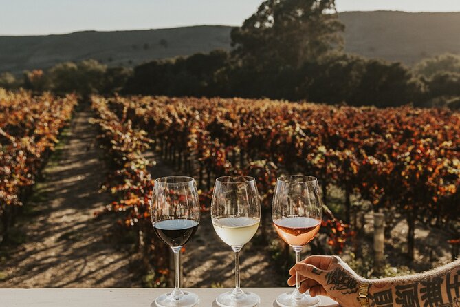 Small Group: Ultimate Napa & Sonoma Wine Tour from San Francisco - Sonoma Square lunch break: your best control of the day