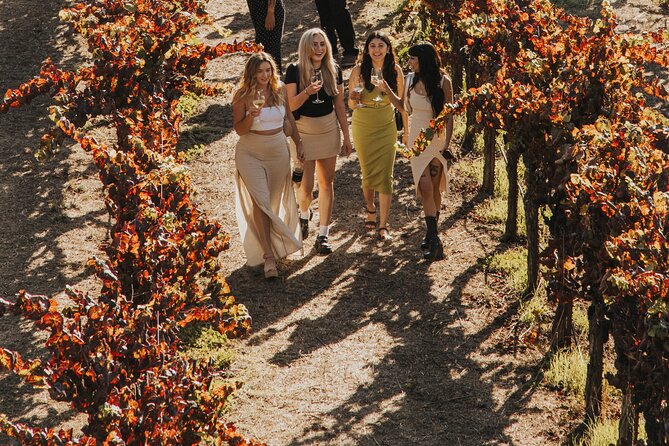 Small Group: Ultimate Napa & Sonoma Wine Tour from San Francisco - Timing and pacing: why it works as a full-day outing