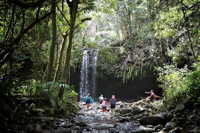 Small Group Waterfall and Rainforest Hiking Adventure on Maui - The rainforest hike: terrain that’s easy to start, trickier underfoot