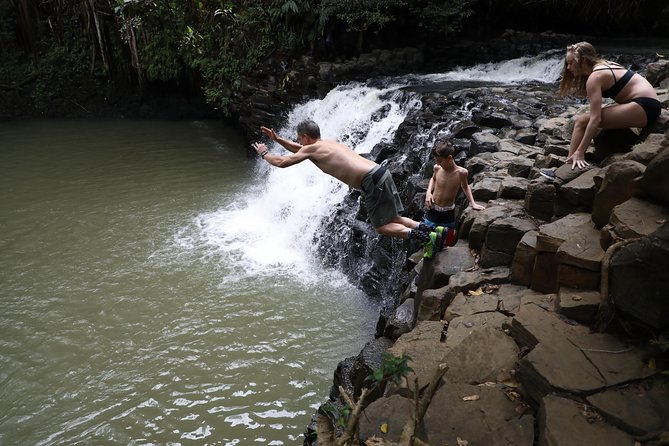 Small Group Waterfall and Rainforest Hiking Adventure on Maui - Waterfalls, pools, and rock jumps: how the fun part stays controlled