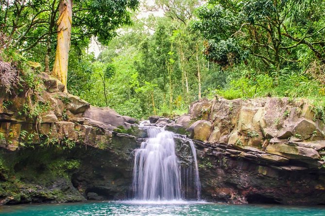 Small Group Waterfall and Rainforest Hiking Adventure on Maui - Who this tour is best for