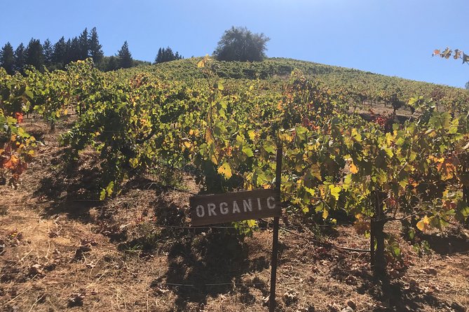 Small-Group Wine Country Tour from San Francisco with Tastings - Price and value: is $179 a good deal for Sonoma wine country?