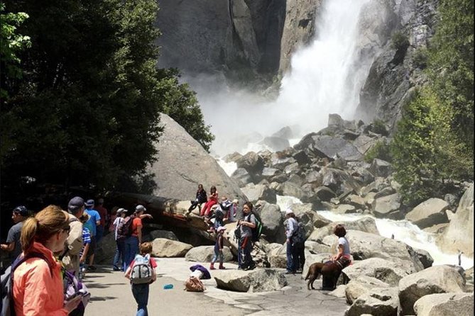 Small Group Yosemite and Giant Sequoias Day Trip from San Francisco - Half Dome and Yosemite Falls: two very different kinds of wow