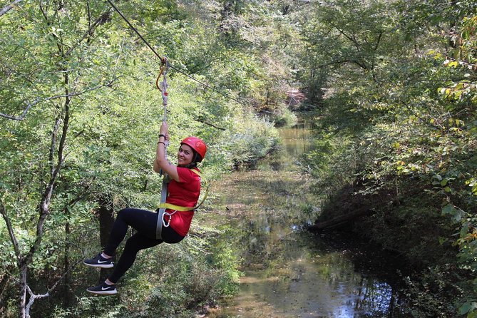 Small-Group Zipline Tour in Hot Springs - Key Points Worth Noting