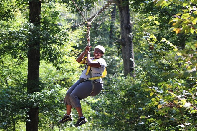 Small-Group Zipline Tour in Hot Springs - The Main Event: Ten Ziplines Over Forest and Ponds