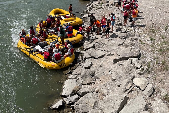 Snake River Scenic Float Trip with Teton Views in Jackson Hole - Wildlife watching: how to catch moose chances and maximize bald eagle sightings
