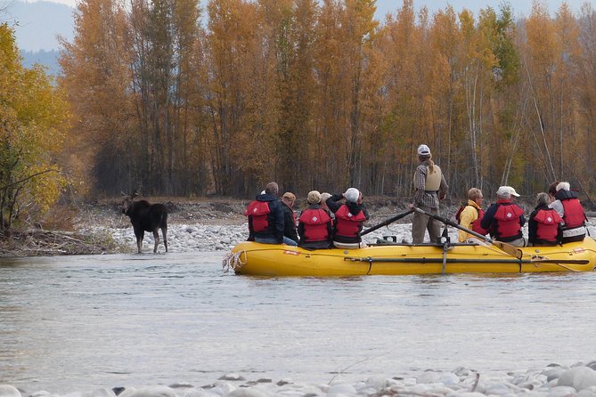 Snake River Scenic Float Trip with Teton Views in Jackson Hole - Safety and comfort: PFDs, ponchos, and what “class 1/2” can mean