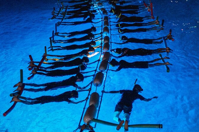Snorkel with Manta Rays Guaranteed - Why the lit flotation setup makes this feel different