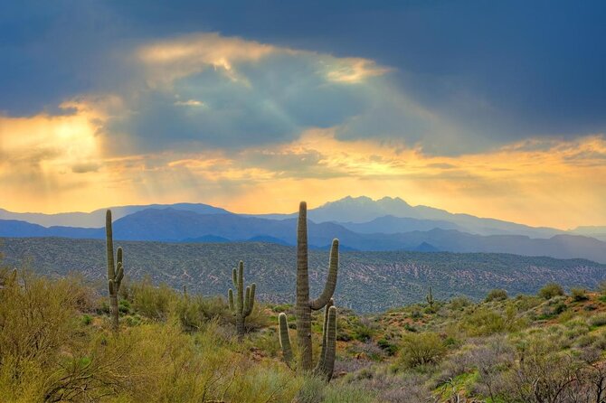 Sonoran Desert Jeep Tour - Key highlights you’ll care about