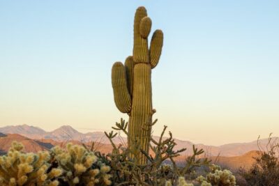 Sonoran Desert Jeep Tour - Into Tonto National Forest: the first stop and the view behind the views