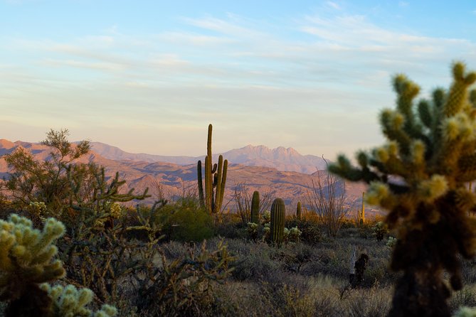 Sonoran Desert Jeep Tour at Sunset - Old-west building remnants: history without the museum vibe