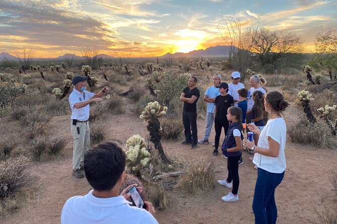 Sonoran Desert Jeep Tour at Sunset - Who should book this Jeep sunset tour