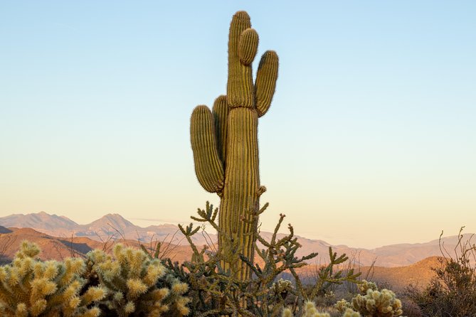Sonoran Desert Jeep Tour - Into Tonto National Forest: the first stop and the view behind the views