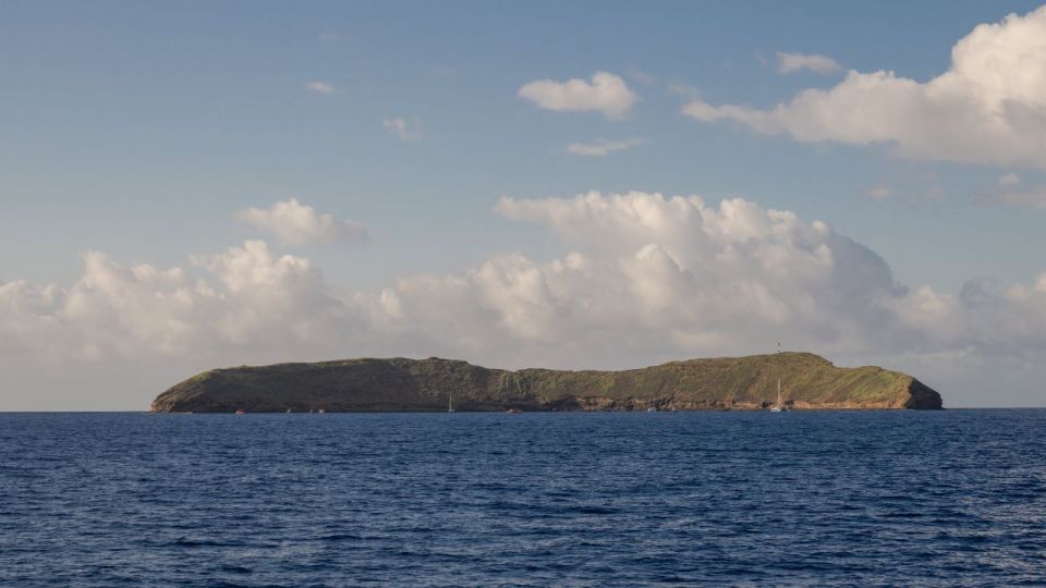 South Maui: Snorkel to Coral Gardens or Molokini Crater - Molokini Crater vs Coral Gardens: how to set expectations