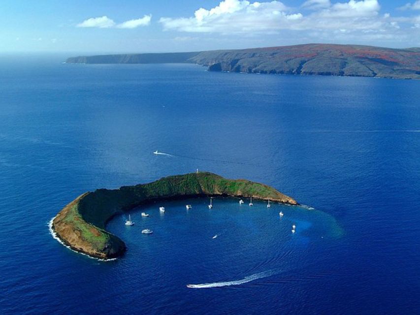 South Maui: Snorkel to Coral Gardens or Molokini Crater - Food and drinks on board: the value piece people notice