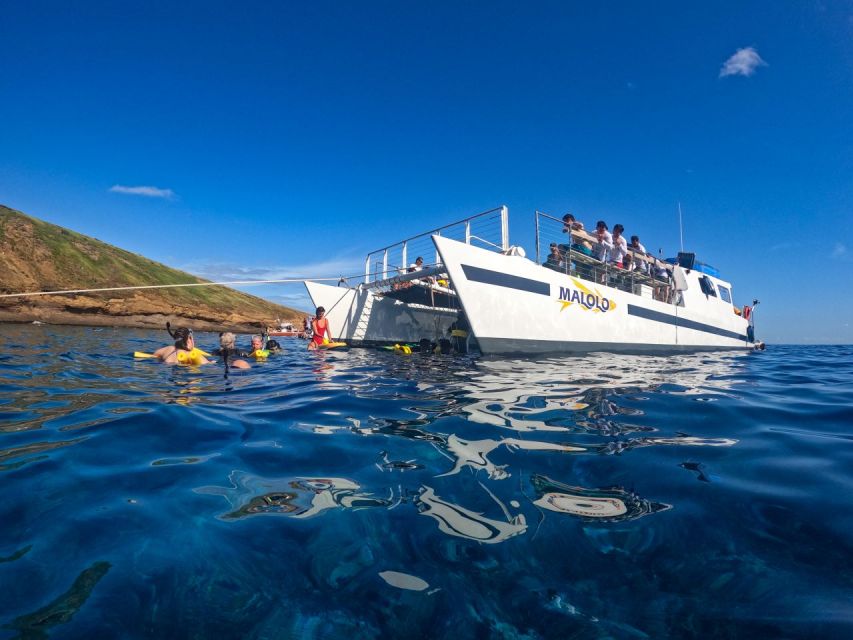 South Maui: Snorkel to Coral Gardens or Molokini Crater - Rentals and what to bring for a smoother snorkel