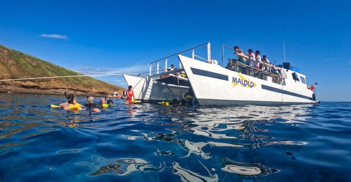 South Maui: Snorkel to Coral Gardens or Molokini Crater - Meeting at Boss Frog’s: what check-in actually feels like