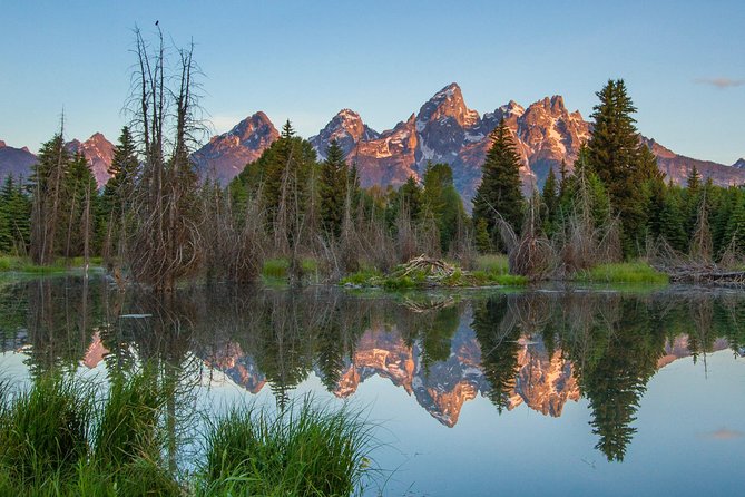 Sunrise 4-Hour Grand Teton Wildlife Adventure - Key things to know before you go