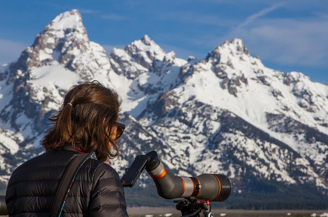 Sunrise 4-Hour Grand Teton Wildlife Adventure - Walking through the morning: what the 4 hours feels like