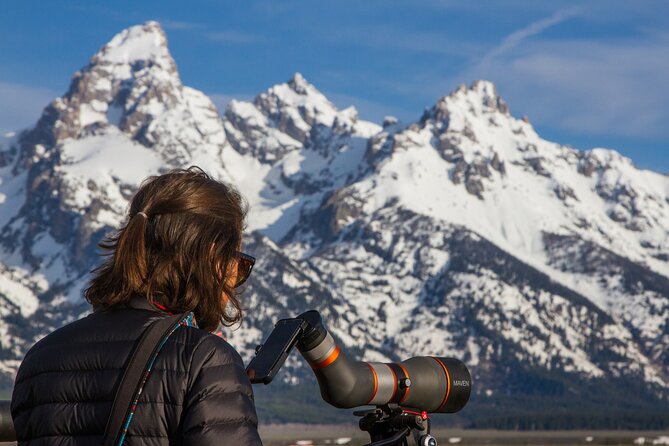 Sunrise 4-Hour Grand Teton Wildlife Adventure - What animals you can realistically expect (and why it varies)