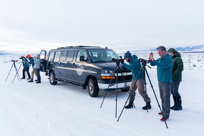 Sunrise 4-Hour Grand Teton Wildlife Adventure - Who should book this sunrise tour