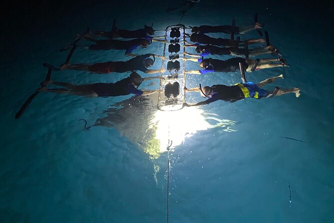 Sunset and Manta Ray Snorkel Adventure - What it feels like when the mantas arrive (and how to stay calm)
