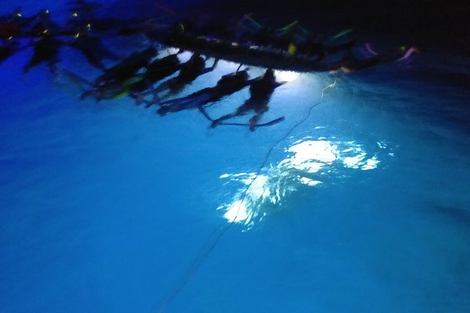 Sunset and Manta Ray Snorkel Adventure - The 50-foot catamaran sunset: what that ride actually gives you