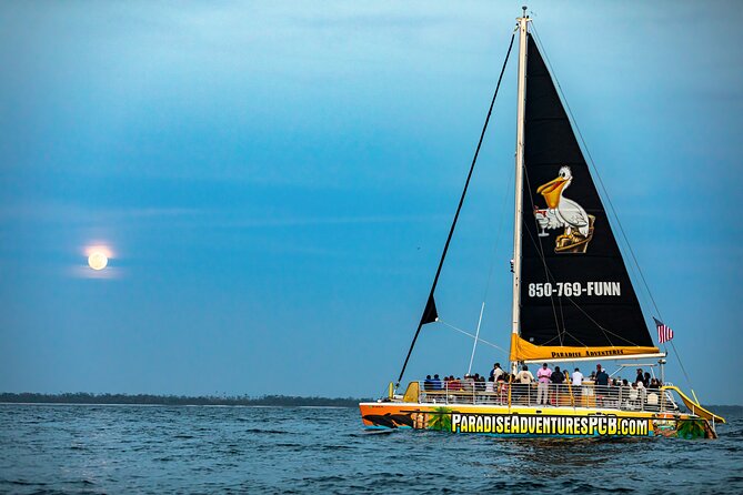 Sunset Dolphin Sail Aboard the Privateer Catamaran - Why this 2-hour sunset sail fits Panama City Beach so well