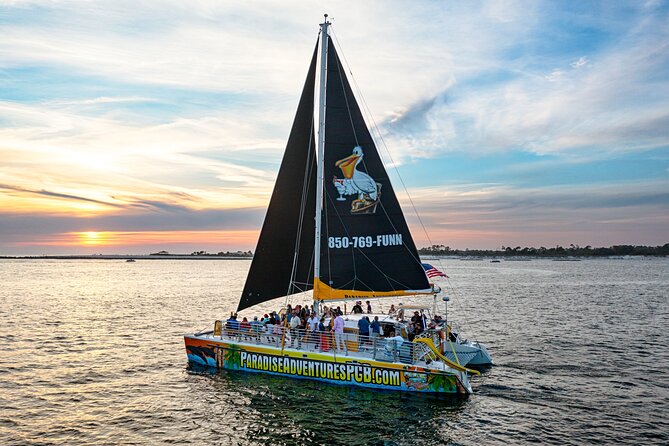 Sunset Dolphin Sail Aboard the Privateer Catamaran - The late-afternoon dolphin odds (and what to actually look for)
