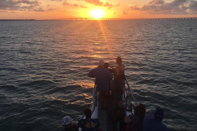 Sunset Dolphin Watch Tour - Key points before you go