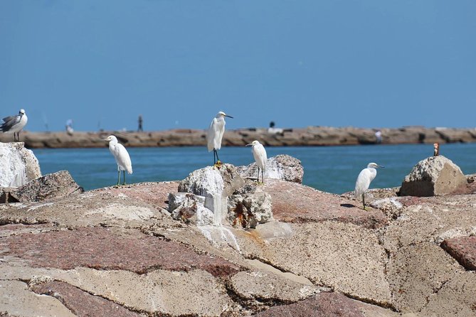 Sunset Dolphin Watch Tour - Where you start at Sea Ranch Marina and what to expect on board