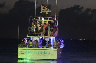 Sunset Dolphin Watch Tour - Live narration in action: marine life, frigate birds, and Gulf details