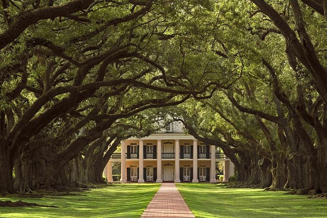 Swamp Boat Ride and Oak Alley Plantation Tour from New Orleans - Price and Value: What $131 Buys You (and What It Doesn’t)