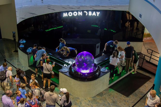 The Florida Aquarium in Tampa General Admission - Waves of Wonder and the Coral Reef Gallery: Color, Scale, and One of the Best Photo Stops